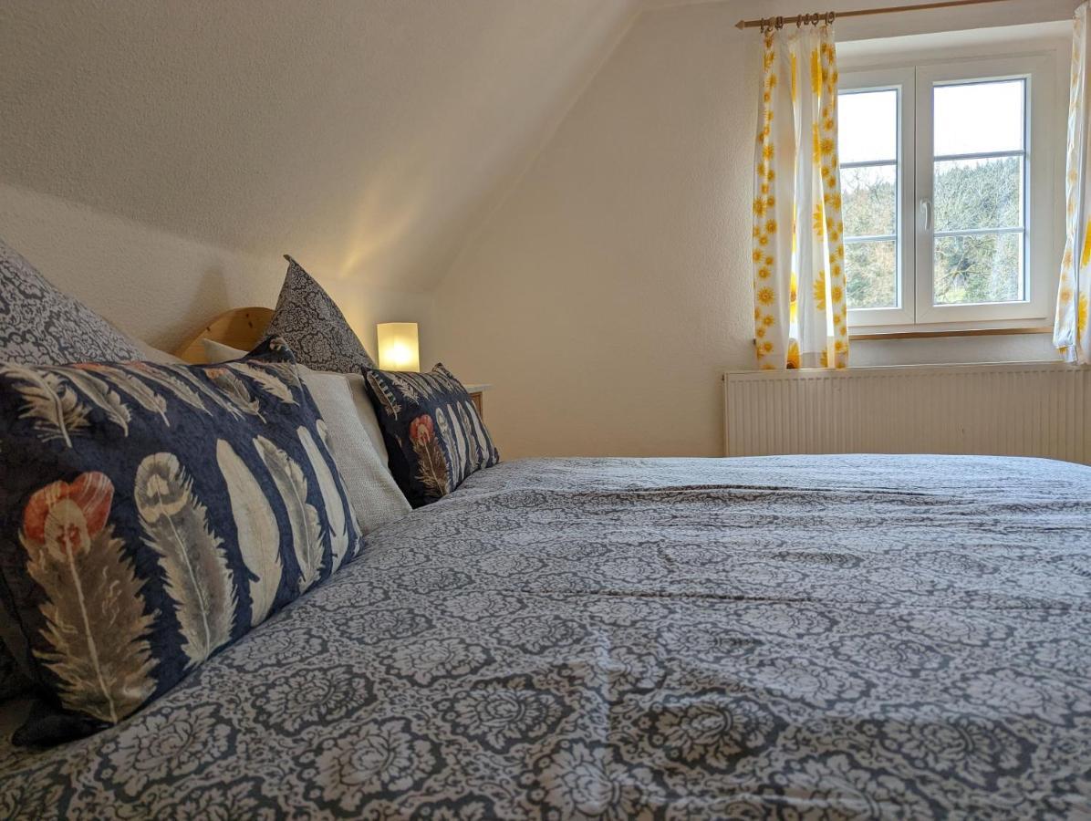 Landhaus Eilenberg Holzhau Rechenberg-Bienenmuhle Luaran gambar